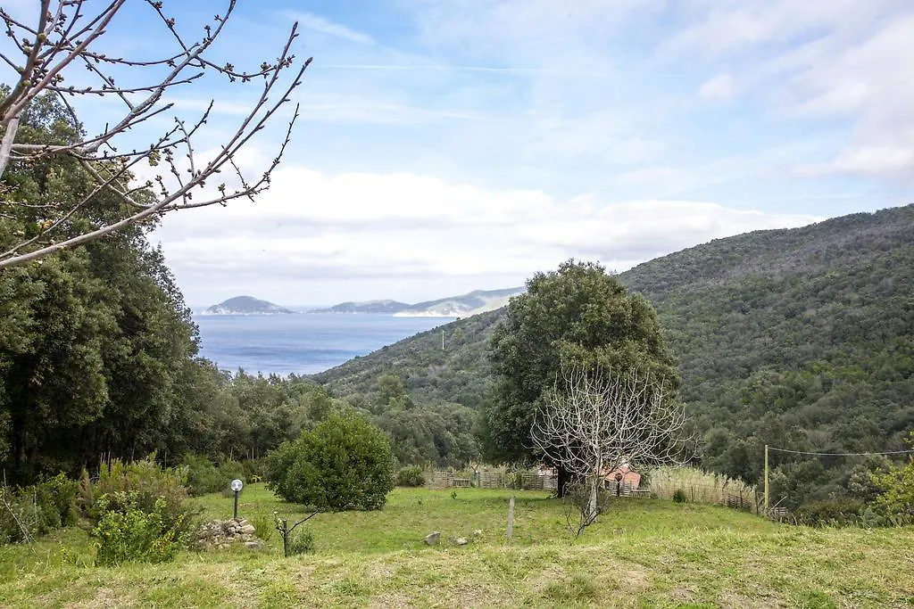 Dom wakacyjny Villino Mare E Natura Marciana Marina